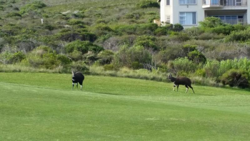 Lodge 93 Mossel Bay Exterior foto